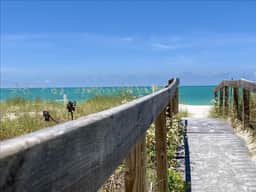 Sea Oats 222 - Image 5
