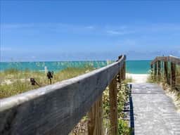 Sea Oats 337 - Image 3