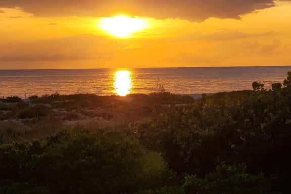 Gulf Dunes 01 - Image 1