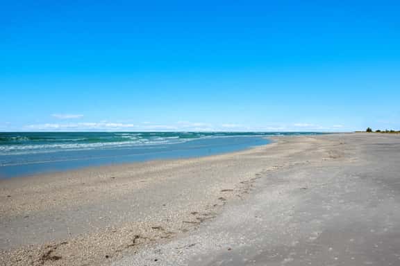 Sea Oats 215 - Image 1