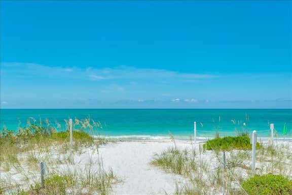 Sea Oats 337 - Image 2
